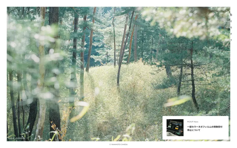 山本写真機店 screenshot