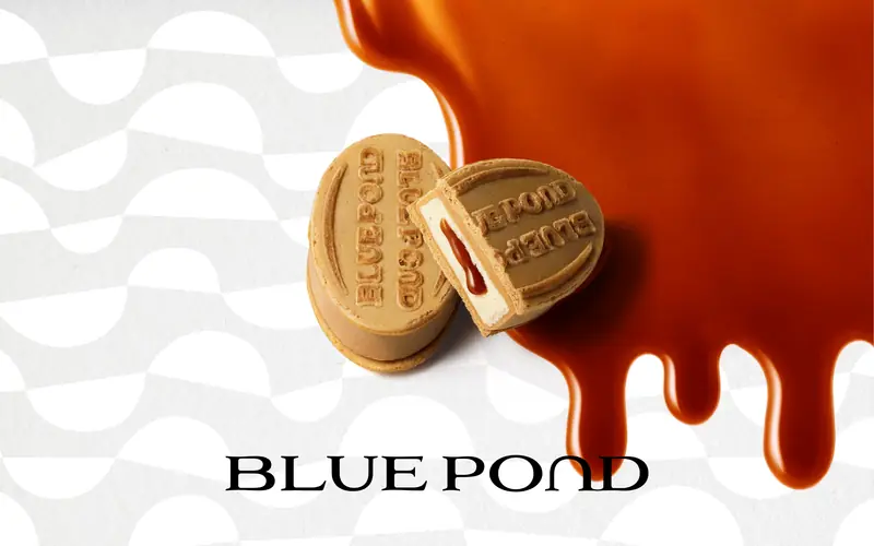 BLUE POND screenshot