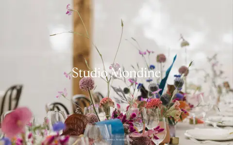 Studio Mondine screenshot