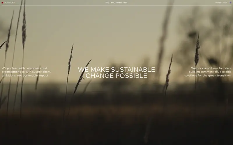 The Footprint Firm screenshot