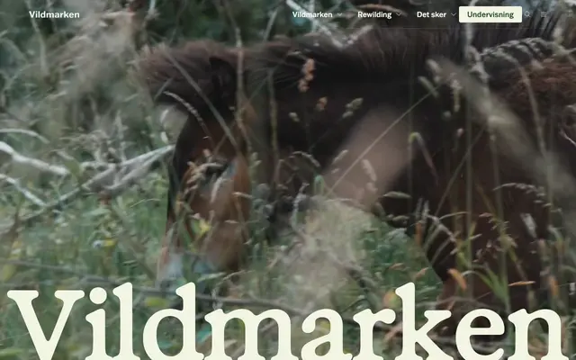 Vildmarken screenshot